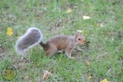 IMG_1842