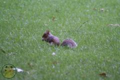 IMG_1845