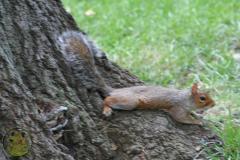 IMG_1848