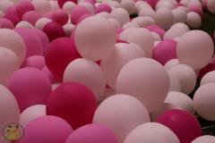 10995806_493440440811885_2293162034700068334_o_493440440811885