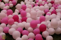 11212133_493440510811878_7612557307600056587_o_493440510811878
