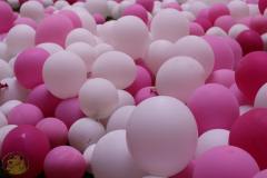 11406403_493440457478550_6669224900283497411_o_493440457478550