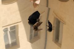 11425877_493439634145299_2010939965831504981_o_493439634145299