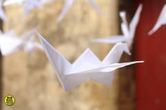 13412226_642421419247119_4240675170873267665_o_642421419247119