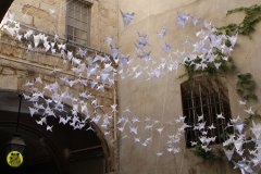 13418401_642421325913795_4806286127518739060_o_642421325913795