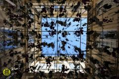 13422316_642420975913830_9091402312320058118_o_642420975913830