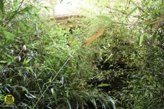 13422328_642420669247194_9004304025059023590_o_642420669247194