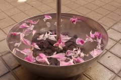 64288536_1324171027738818_3201063826065719296_o_1324171024405485