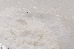 64334550_1324168631072391_1312710995440828416_o_1324168627739058