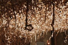 64518795_1324172921071962_7838207447096360960_o_1324172917738629