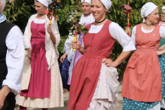 IMG-6003