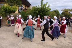 IMG-6008