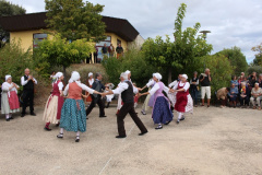 IMG-6011