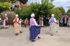 IMG-6016