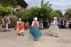 IMG-6019