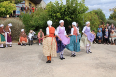 IMG-6022