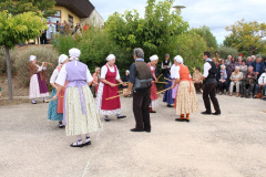 IMG-6029