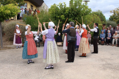 IMG-6031
