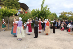 IMG-6032