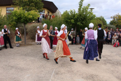 IMG-6033