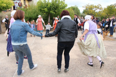 IMG-6037