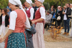 IMG-6038