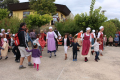 IMG-6041