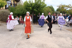 IMG-6047
