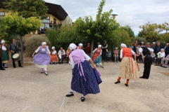 IMG-6050