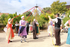IMG-6060