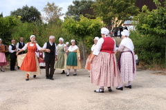 IMG-6084