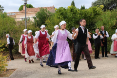 IMG-6091
