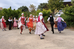 IMG-6093