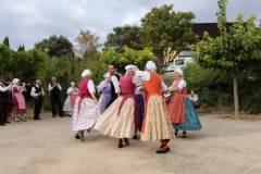 IMG-6100