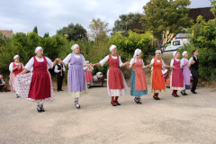 IMG-6101