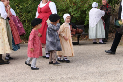 IMG-6120