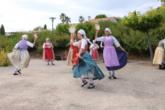 IMG-6122