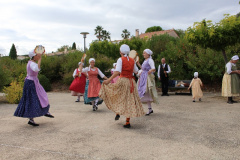 IMG-6123
