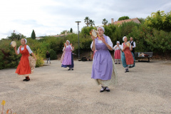IMG-6126