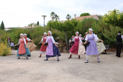 IMG-6129