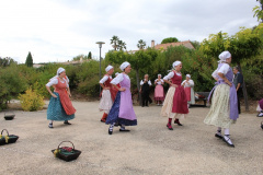 IMG-6130