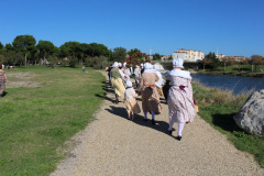 IMG-6142
