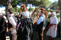 IMG-6163