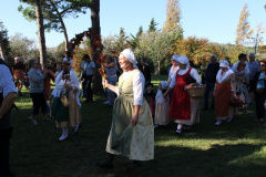 IMG-6168