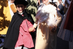 IMG-6177
