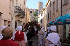 IMG-6181