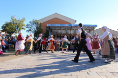 IMG-6201