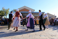 IMG-6202