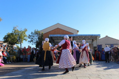 IMG-6203