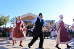 IMG-6204